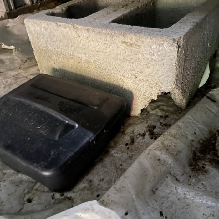 A termite bait station placed near a foundation