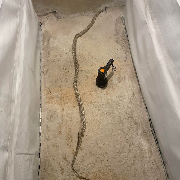 A snake found during a crawlspace inspection