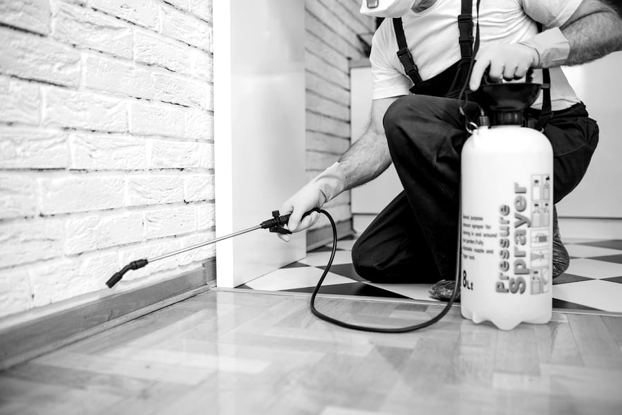 An exterminator treating a baseboard during a pest control visit